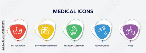 infographic element template with medical icons outline icons such as diet for health, 24 hours drugs delivery, phareutical delivery, test tube, flask and drop of blood, lungs vector.