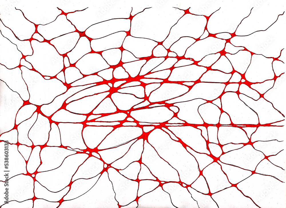 Picture: Morphological structure of human circulatory system Stock ...