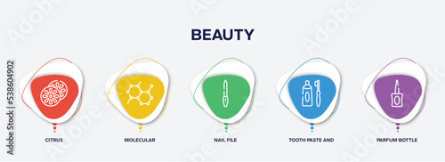infographic element template with beauty outline icons such as citrus, molecular, nail file, tooth paste and brush, parfum bottle vector.