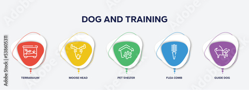 infographic element template with dog and training outline icons such as terraraium, moose head, pet shelter, flea comb, guide dog vector.