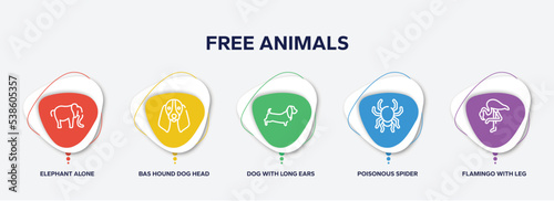 infographic element template with free animals outline icons such as elephant alone, bas hound dog head, dog with long ears, poisonous spider, flamingo with leg up vector.