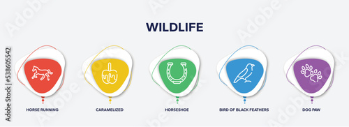 infographic element template with wildlife outline icons such as horse running, caramelized, horseshoe, bird of black feathers, dog paw vector.