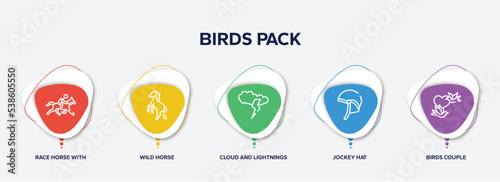 infographic element template with birds pack outline icons such as race horse with jockey, wild horse, cloud and lightnings, jockey hat, birds couple vector.