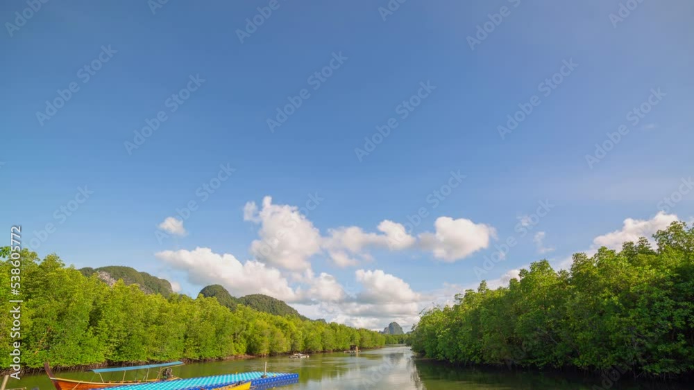 timelapse white clouds float through the canals in the mangroves. beautiful nature blue sky green forest background. timelapse white clouds float through the canals in the mangroves. beautiful nature blue sky green forest background.