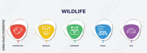 infographic element template with wildlife outline icons such as puffer fish, baboon, chipmunk, crack, hive vector.