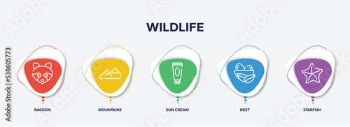 infographic element template with wildlife outline icons such as racoon, mountains, sun cream, nest, starfish vector.
