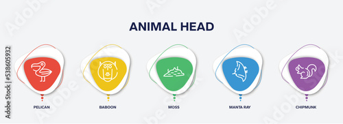 infographic element template with animal head outline icons such as pelican, baboon, moss, manta ray, chipmunk vector.