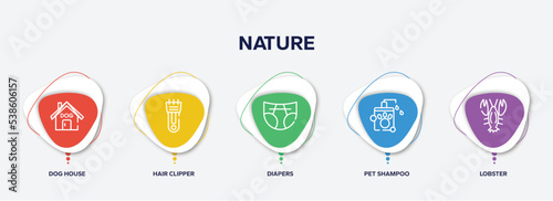 infographic element template with nature outline icons such as dog house, hair clipper, diapers, pet shampoo, lobster vector.