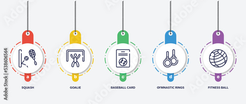 infographic element template with sport fitness outline icons such as squash, goalie, baseball card, gymnastic rings, fitness ball vector.