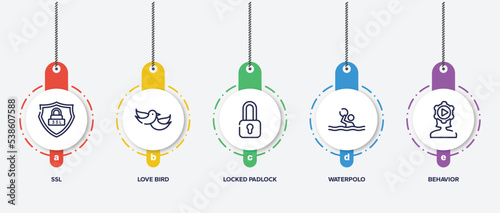 infographic element template with marketing management outline icons such as ssl, love bird, locked padlock, waterpolo, behavior vector.