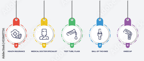 infographic element template with body parts outline icons such as health insurance or hospital costs, medical doctor specialist, test tube, flask and drop of blood, ball of the knee, kneecap