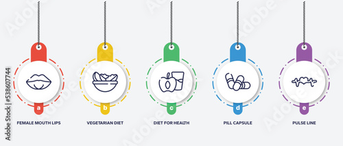 infographic element template with medical icons outline icons such as female mouth lips, vegetarian diet, diet for health, pill capsule, pulse line vector.