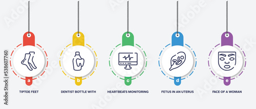 infographic element template with body parts outline icons such as tiptoe feet, dentist bottle with liquid, heartbeats monitoring, fetus in an uterus, face of a woman vector.