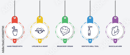 infographic element template with body parts outline icons such as hand finger with a ribbon, lifeline in a heart, brain body organ, dentists drill tool, muscular arm vector.