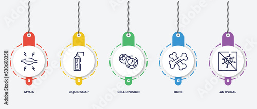 infographic element template with outline icons such as myaia, liquid soap, cell division, bone, antiviral vector.