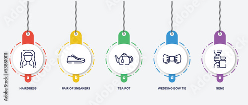 infographic element template with therapy outline icons such as hairdress, pair of sneakers, tea pot, wedding bow tie, gene vector.