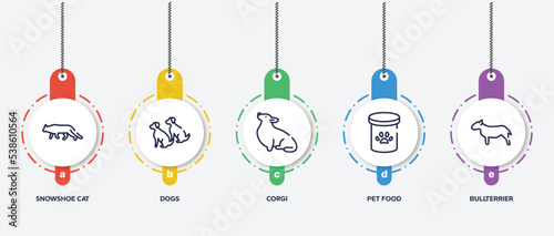 infographic element template with dog breeds fullbody outline icons such as snowshoe cat, dogs, corgi, pet food, bullterrier vector.
