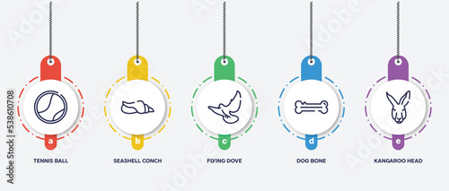 infographic element template with fauna outline icons such as tennis ball, seashell conch, flying dove, dog bone, kangaroo head vector.