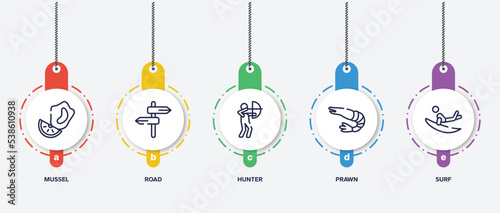 infographic element template with diving outline icons such as mussel, road, hunter, prawn, surf vector.