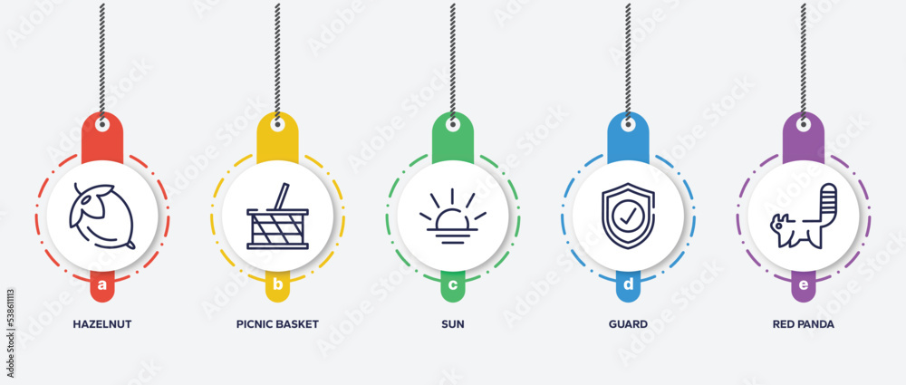 infographic element template with in the zoo outline icons such as hazelnut, picnic basket, sun, guard, red panda vector.