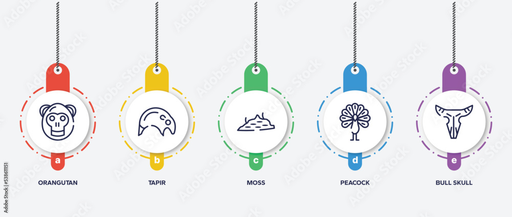 infographic element template with desert outline icons such as orangutan, tapir, moss, peacock, bull skull vector. infographic element template with desert outline icons such as orangutan, tapir, moss, peacock, bull skull vector.