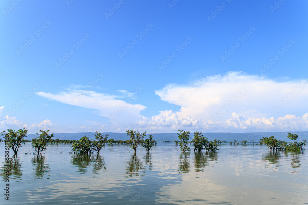 The low land in Rainy season