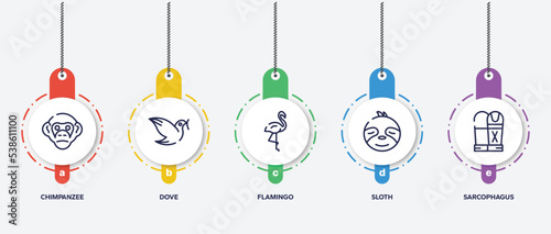 infographic element template with desert outline icons such as chimpanzee, dove, flamingo, sloth, sarcophagus vector.