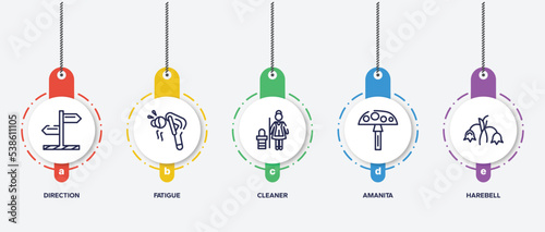 infographic element template with nature outline icons such as direction, fatigue, cleaner, amanita, harebell vector.