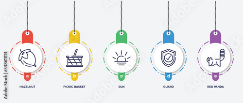 infographic element template with in the zoo outline icons such as hazelnut, picnic basket, sun, guard, red panda vector.