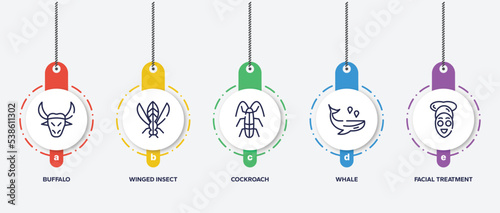infographic element template with pet grooming outline icons such as buffalo, winged insect, cockroach, whale, facial treatment vector.