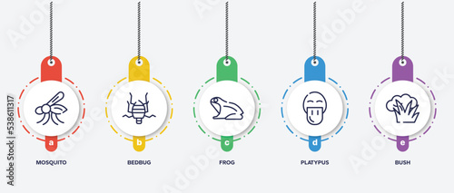 infographic element template with nature outline icons such as mosquito, bedbug, frog, platypus, bush vector.