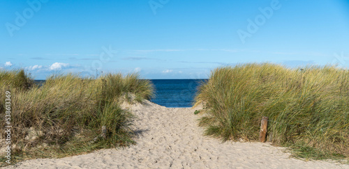 beach entrance through the dunes  baltic sea in the background