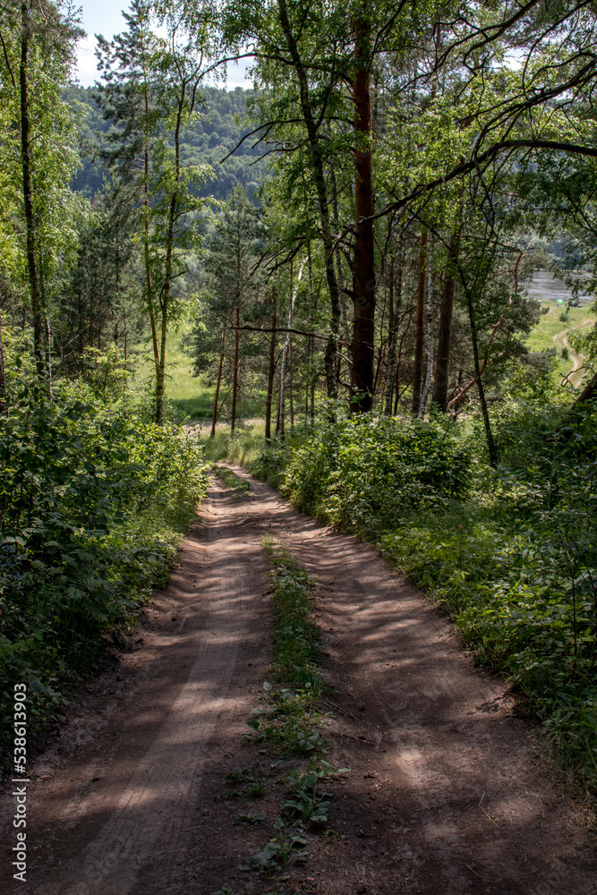 Dirt road in the forest. The road descends from the mountain among the trees. In the forest in the summer the road downhill.