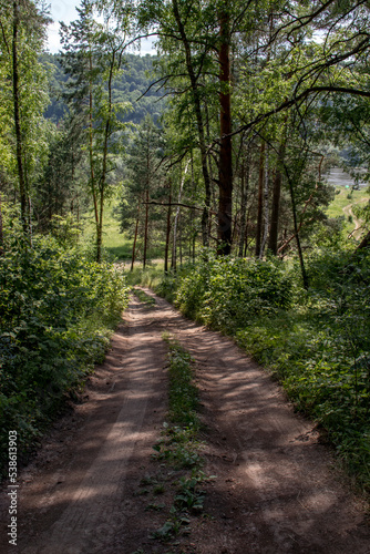 Dirt road in the forest. The road descends from the mountain among the trees. In the forest in the summer the road downhill.