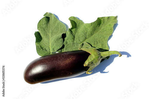 Fresh eggplant vegetable lies on a white background