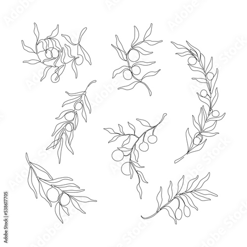 Olive branch, continuous line drawing, tattoo, print for clothes and logo design, silhouette single line on a white background, isolated vector illustration.