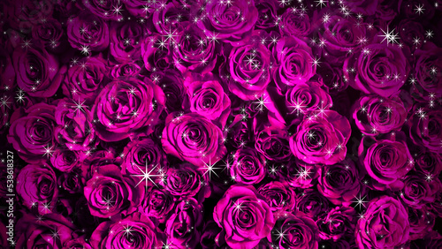 バラの背景にキラキラがふりそそぐ画像