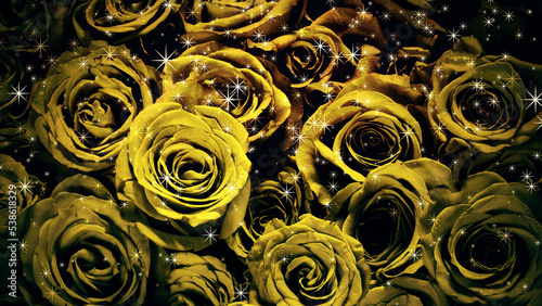 バラの背景にキラキラがふりそそぐ画像