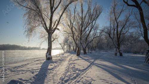 winter landscape with trees © Александр Арендарь