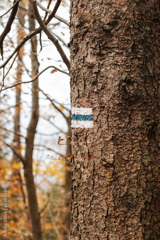 Fototapeta premium Szlak górski