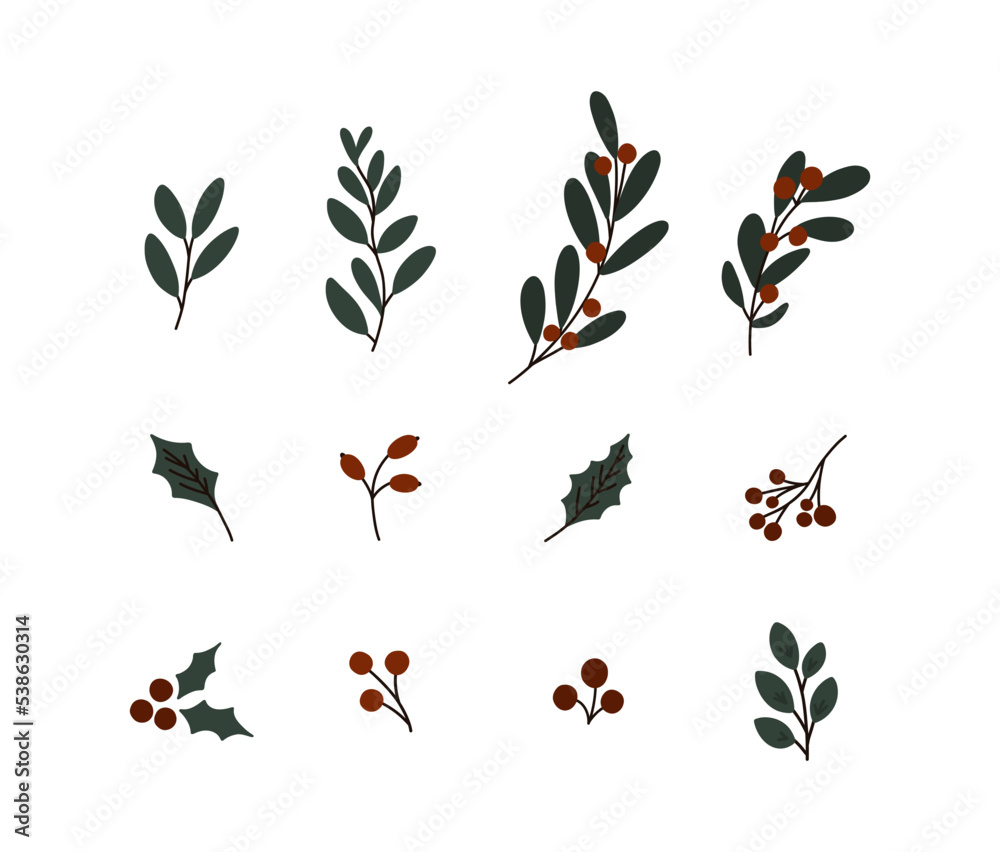 Fototapeta premium Christmas plants set