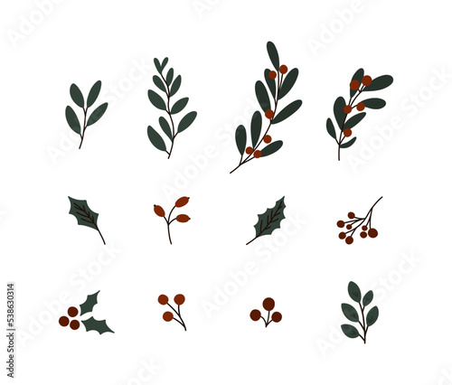 Christmas plants set