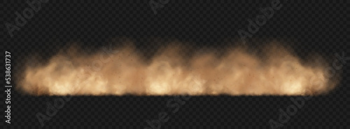 Dust sand cloud with stones and flying dusty particles isolated on transparent background. Brown dusty cloud or dry sand flying. Realistic vector illustration.