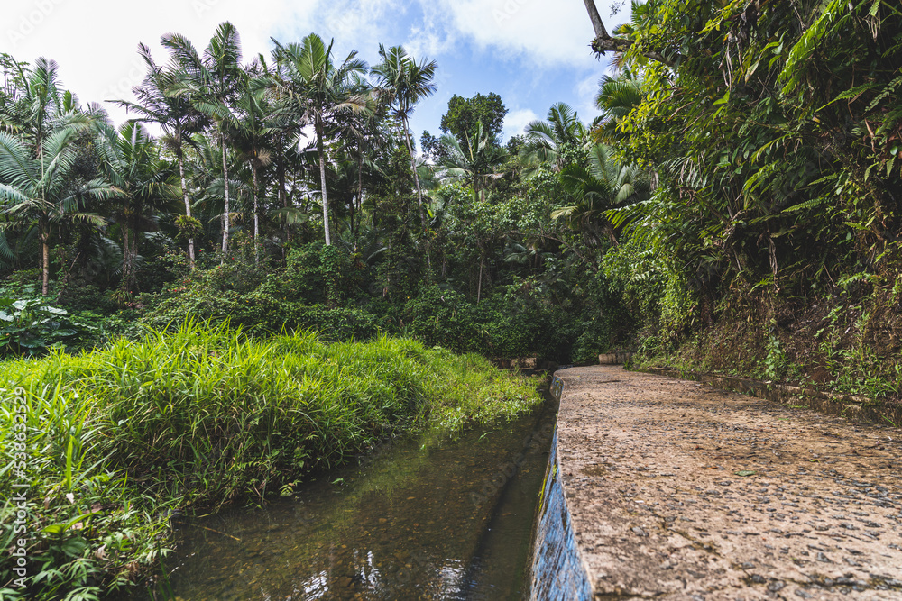 Abandon Bano Oro Swim area in El Yunque National Forest, Puerto Rico Abandon Bano Oro Swim area in El Yunque National Forest, Puerto Rico