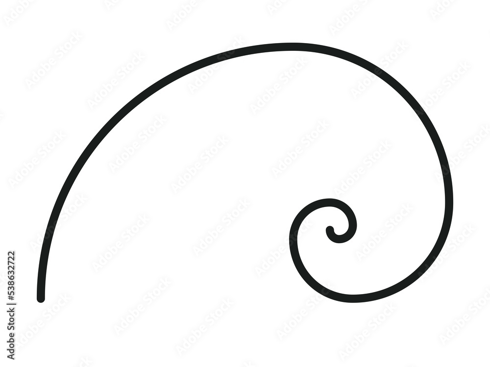 Golden ratio image, nautilus silhouette Golden ratio image, nautilus silhouette