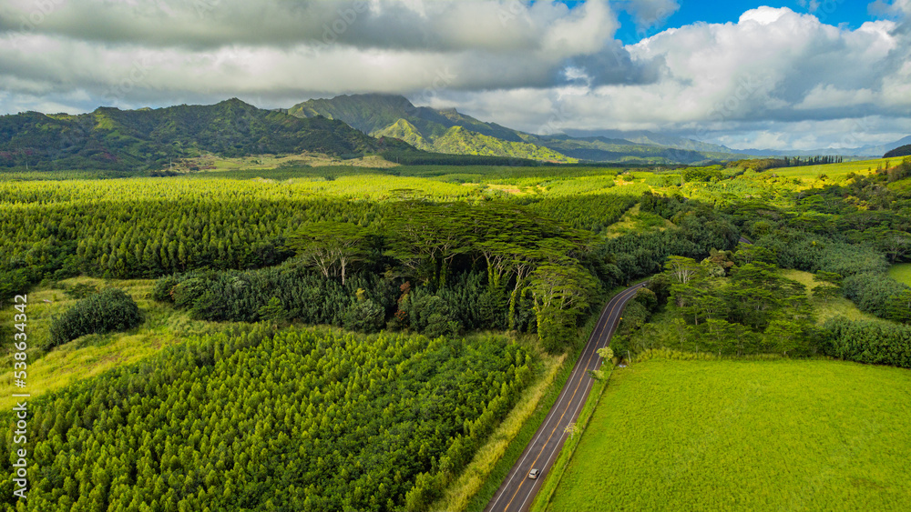 The road among green fields with mountaims on the horizon. 520-Maluhia rd, near Waita Reservoir, Koloa, Hawaii