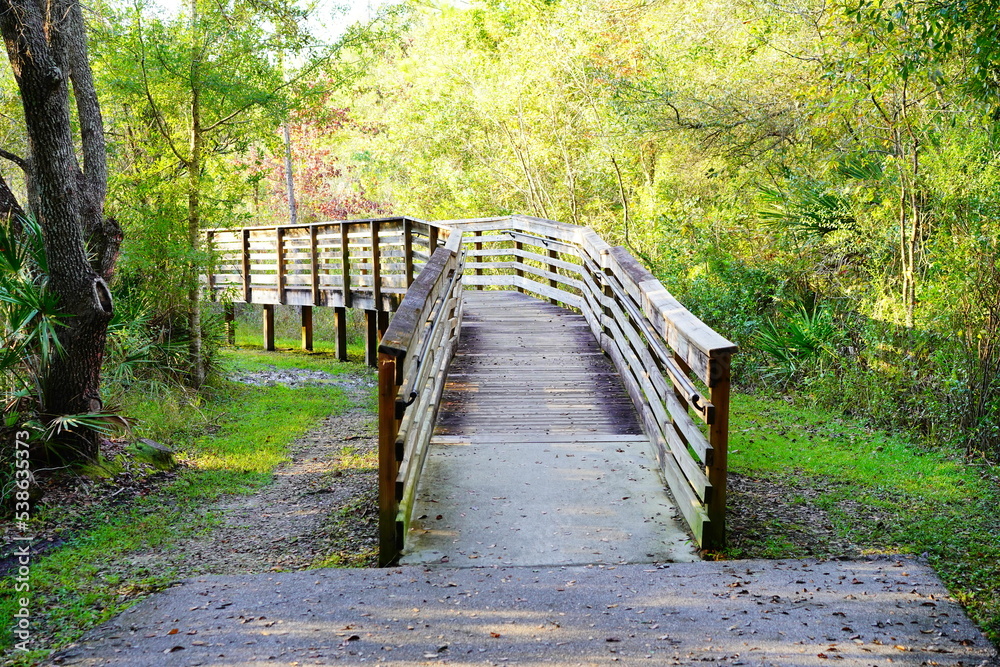 Beautiful wooden boardwalk in autumn Beautiful wooden boardwalk in autumn
