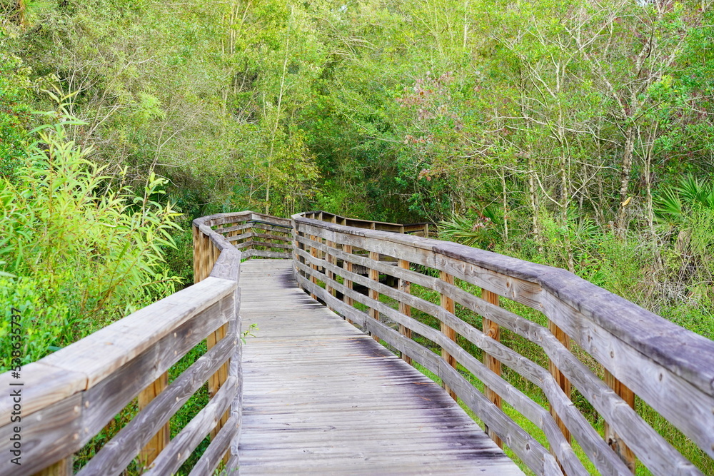Flatwood park in Tampa, Florida Flatwood park in Tampa, Florida