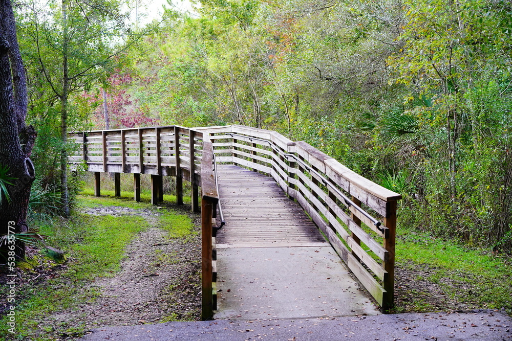 Beautiful wooden boardwalk in autumn Beautiful wooden boardwalk in autumn