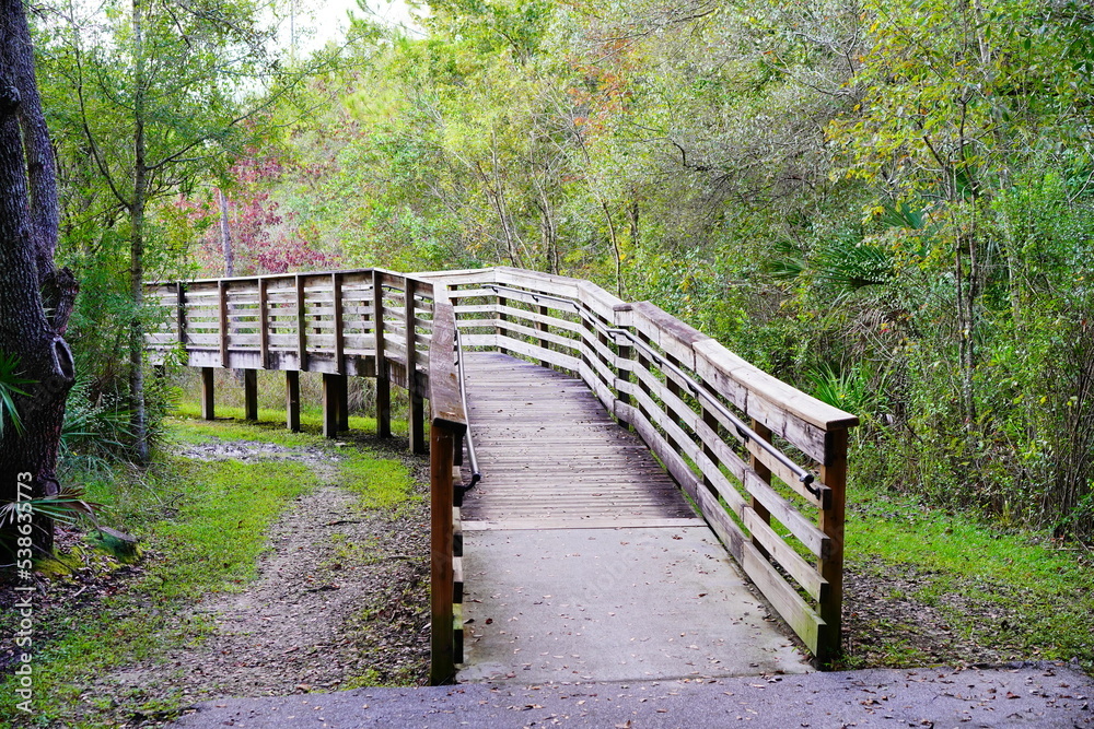 Beautiful wooden boardwalk in autumn